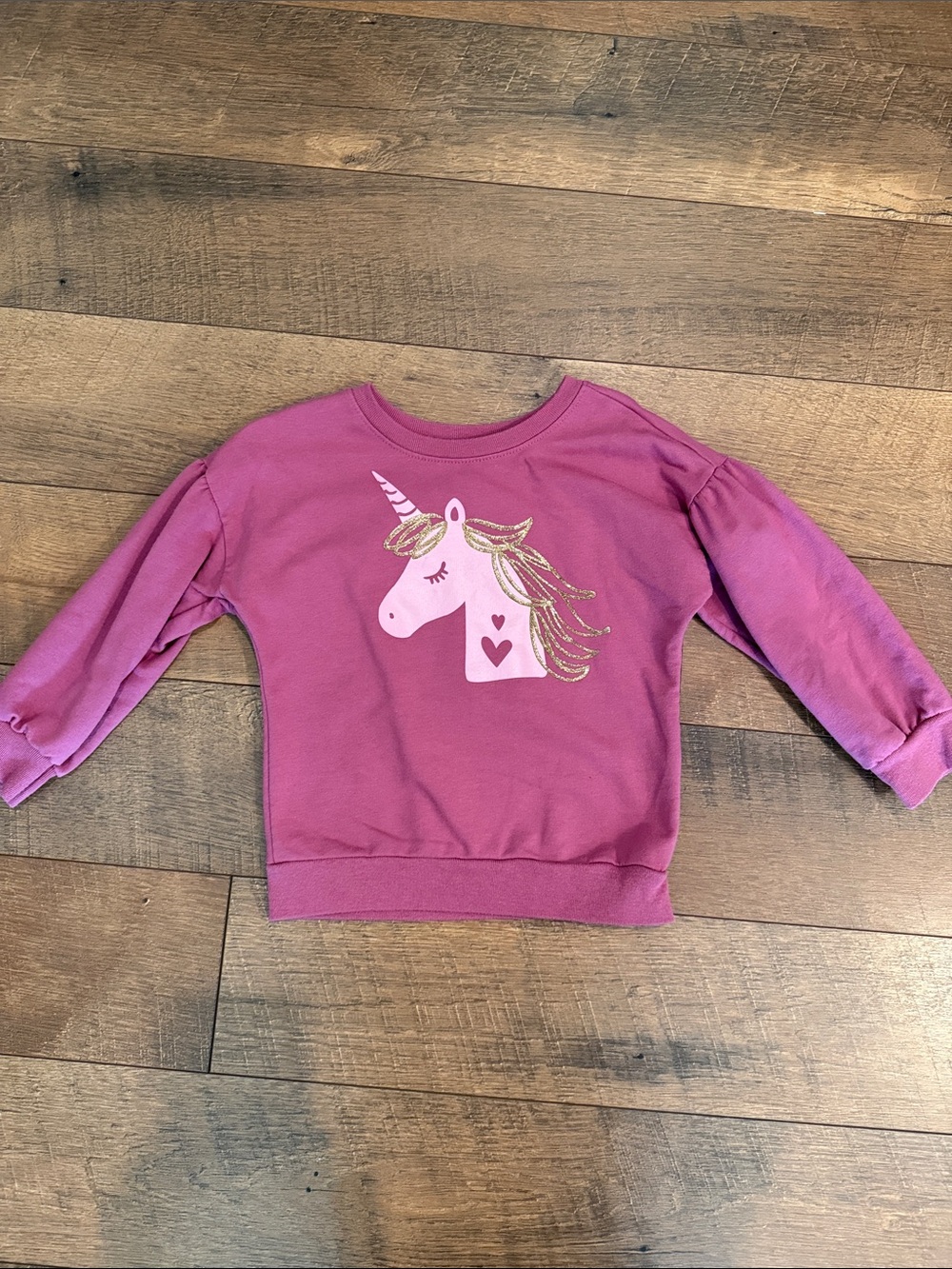 Garanimals Magenta Unicorn Pullover Sweatshirt
